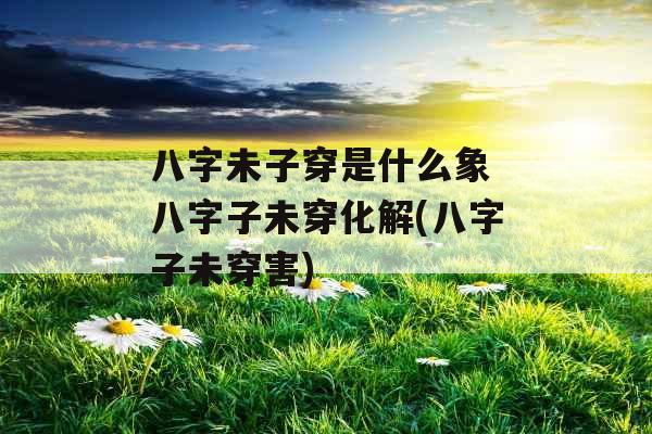 八字未子穿是什么象 八字子未穿化解(八字子未穿害)