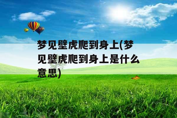 梦见壁虎爬到身上(梦见壁虎爬到身上是什么意思) 梦见壁虎爬到身上(梦见壁虎爬到身上是什么意思)