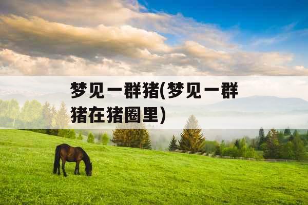 梦见一群猪(梦见一群猪在猪圈里) 梦见一群猪(梦见一群猪在猪圈里)