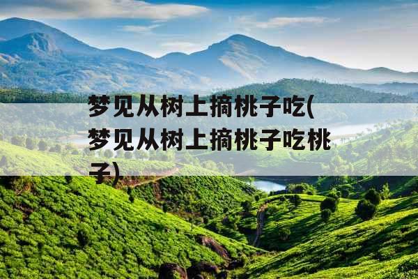 梦见从树上摘桃子吃(梦见从树上摘桃子吃桃子)