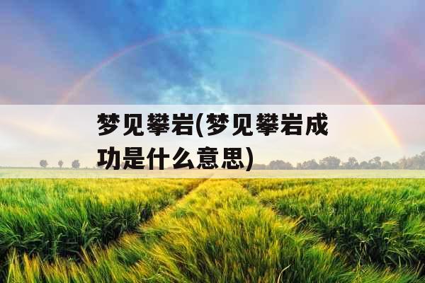 梦见攀岩(梦见攀岩成功是什么意思)