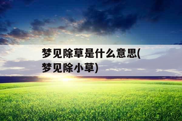 梦见除草是什么意思(梦见除小草)
