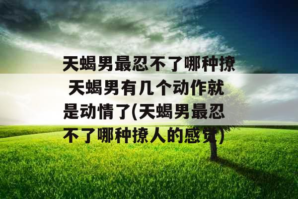 天蝎男最忍不了哪种撩 天蝎男有几个动作就是动情了(天蝎男最忍不了哪种撩人的感觉)