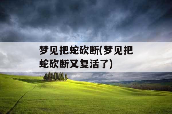 梦见把蛇砍断(梦见把蛇砍断又复活了)