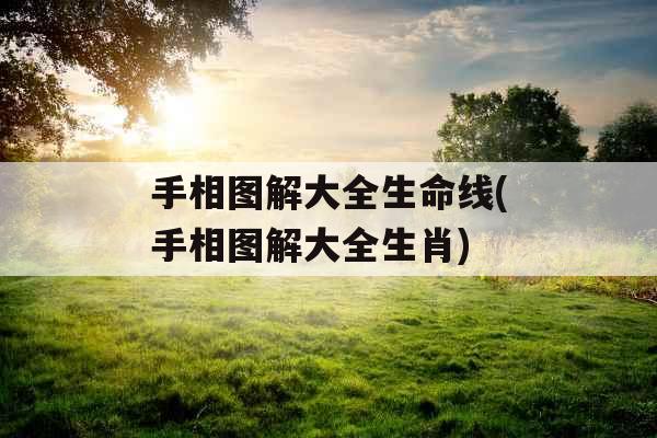 手相图解大全生命线(手相图解大全生肖) 手相图解大全生命线(手相图解大全生肖)