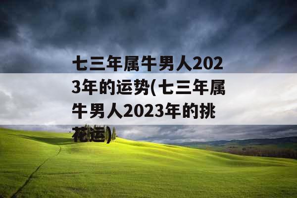 七三年属牛男人2023年的运势(七三年属牛男人2023年的挑花运)
