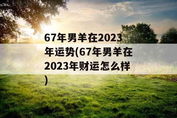 67年男羊在2023年运势(67年男羊在2023年财运怎么样)