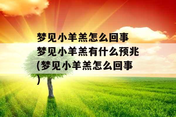 梦见小羊羔怎么回事 梦见小羊羔有什么预兆(梦见小羊羔怎么回事) 梦见小羊羔怎么回事 梦见小羊羔有什么预兆(梦见小羊羔怎么回事)