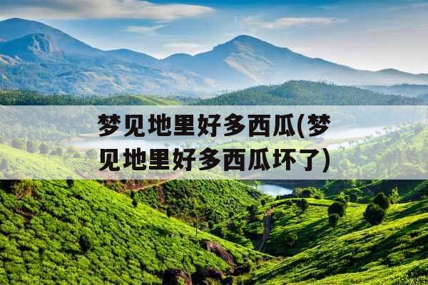 梦见地里好多西瓜(梦见地里好多西瓜坏了)