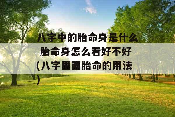 八字中的胎命身是什么 胎命身怎么看好不好(八字里面胎命的用法) 八字中的胎命身是什么 胎命身怎么看好不好(八字里面胎命的用法)