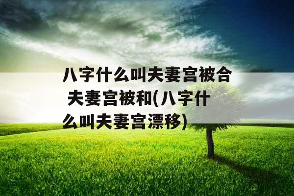 八字什么叫夫妻宫被合 夫妻宫被和(八字什么叫夫妻宫漂移)