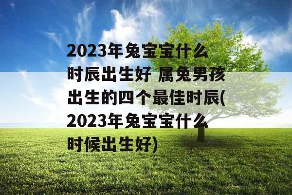 2023年兔宝宝什么时辰出生好 属兔男孩出生的四个最佳时辰(2023年兔宝宝什么时候出生好) 2023年兔宝宝什么时辰出生好 属兔男孩出生的四个最佳时辰(2023年兔宝宝什么时候出生好)