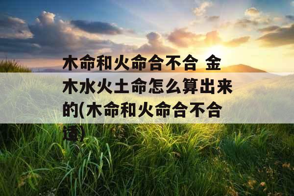木命和火命合不合 金木水火土命怎么算出来的(木命和火命合不合适)