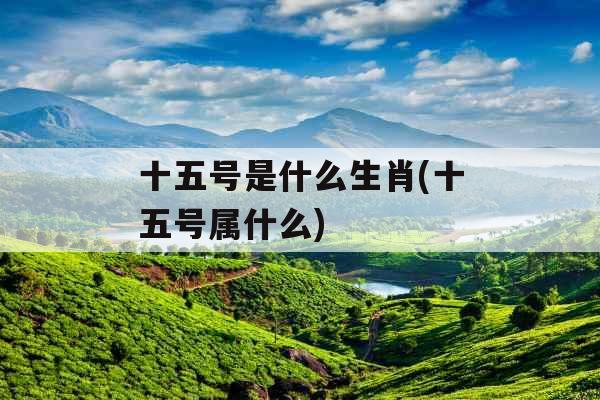 十五号是什么生肖(十五号属什么) 十五号是什么生肖(十五号属什么)