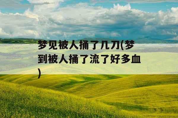 梦见被人捅了几刀(梦到被人捅了流了好多血)