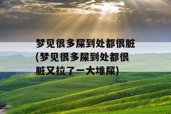 梦见很多屎到处都很脏(梦见很多屎到处都很脏又拉了一大堆屎)