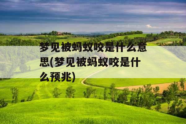 梦见被蚂蚁咬是什么意思(梦见被蚂蚁咬是什么预兆)