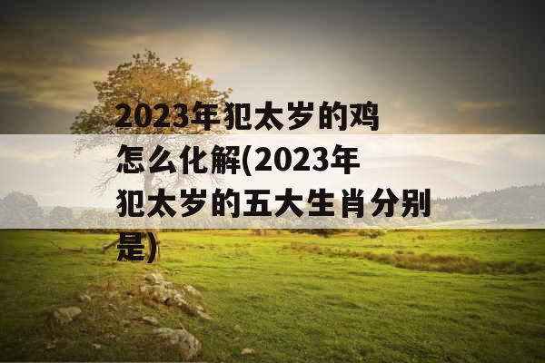 2023年犯太岁的鸡怎么化解(2023年犯太岁的五大生肖分别是)