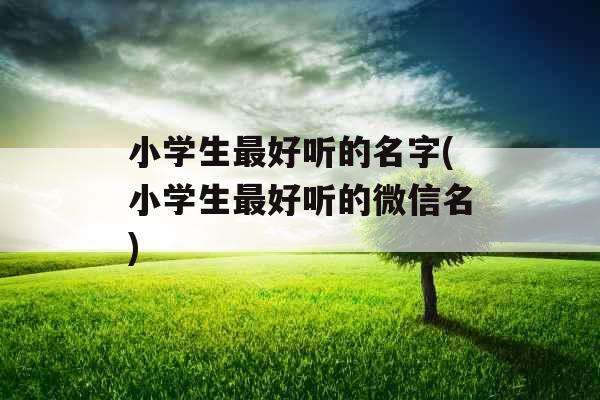 小学生最好听的名字(小学生最好听的微信名) 小学生最好听的名字(小学生最好听的微信名)