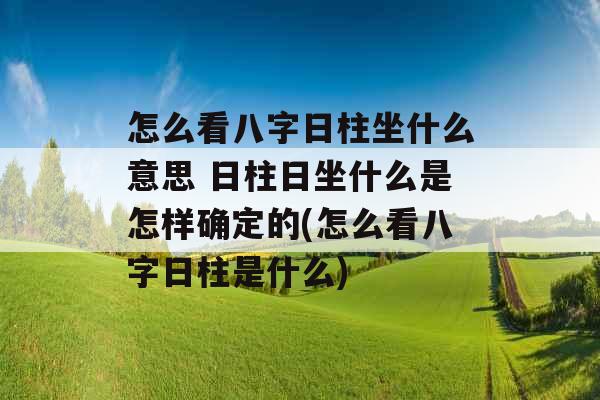 怎么看八字日柱坐什么意思 日柱日坐什么是怎样确定的(怎么看八字日柱是什么)