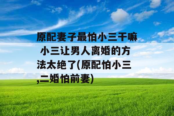 原配妻子最怕小三干嘛 小三让男人离婚的方法太绝了(原配怕小三,二婚怕前妻)