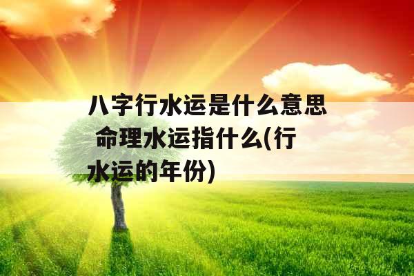 八字行水运是什么意思 命理水运指什么(行水运的年份) 八字行水运是什么意思 命理水运指什么(行水运的年份)