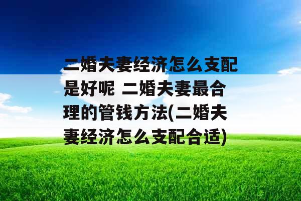 二婚夫妻经济怎么支配是好呢 二婚夫妻最合理的管钱方法(二婚夫妻经济怎么支配合适)