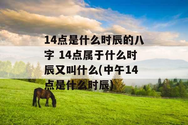 14点是什么时辰的八字 14点属于什么时辰又叫什么(中午14点是什么时辰)
