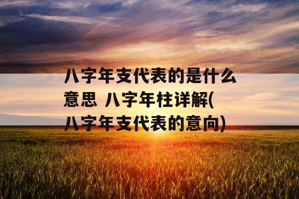 八字年支代表的是什么意思 八字年柱详解(八字年支代表的意向) 八字年支代表的是什么意思 八字年柱详解(八字年支代表的意向)