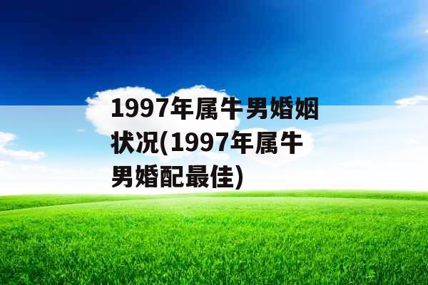 1997年属牛男婚姻状况(1997年属牛男婚配最佳)