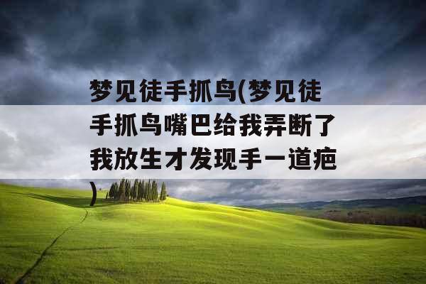 梦见徒手抓鸟(梦见徒手抓鸟嘴巴给我弄断了我放生才发现手一道疤) 梦见徒手抓鸟(梦见徒手抓鸟嘴巴给我弄断了我放生才发现手一道疤)