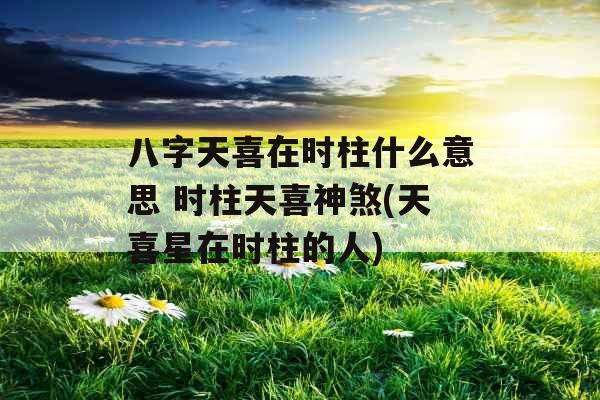 八字天喜在时柱什么意思 时柱天喜神煞(天喜星在时柱的人)