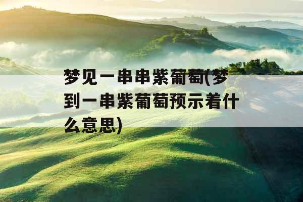 梦见一串串紫葡萄(梦到一串紫葡萄预示着什么意思)