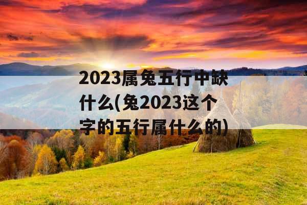2023属兔五行中缺什么(兔2023这个字的五行属什么的)