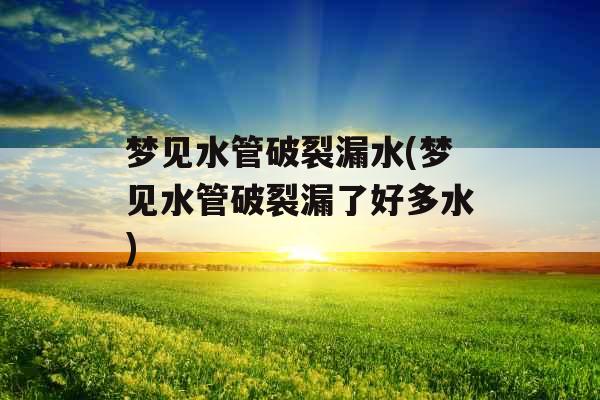 梦见水管破裂漏水(梦见水管破裂漏了好多水) 梦见水管破裂漏水(梦见水管破裂漏了好多水)