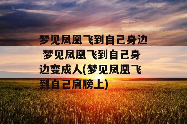 梦见凤凰飞到自己身边 梦见凤凰飞到自己身边变成人(梦见凤凰飞到自己肩膀上)