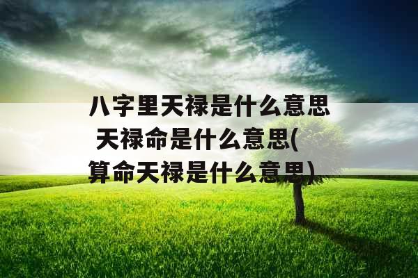 八字里天禄是什么意思 天禄命是什么意思(算命天禄是什么意思)