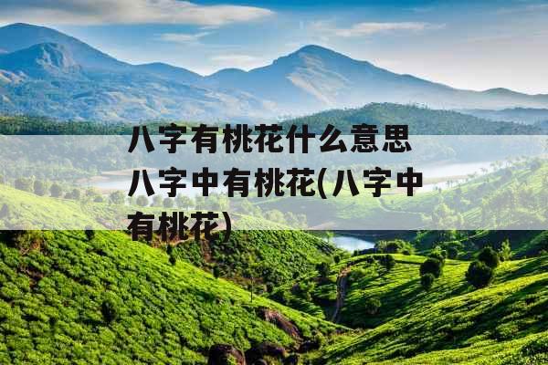 八字有桃花什么意思 八字中有桃花(八字中有桃花) 八字有桃花什么意思 八字中有桃花(八字中有桃花)