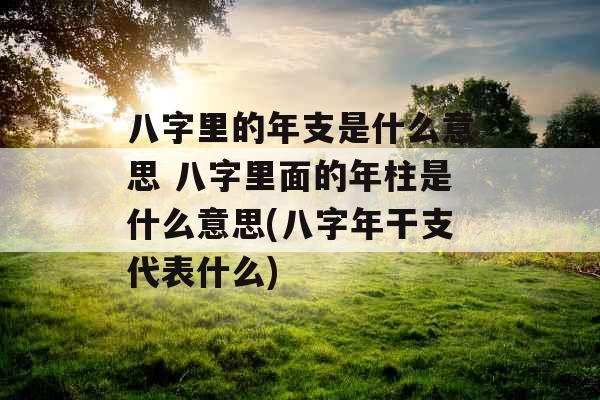八字里的年支是什么意思 八字里面的年柱是什么意思(八字年干支代表什么)