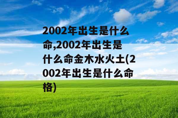 2002年出生是什么命,2002年出生是什么命金木水火土(2002年出生是什么命格)