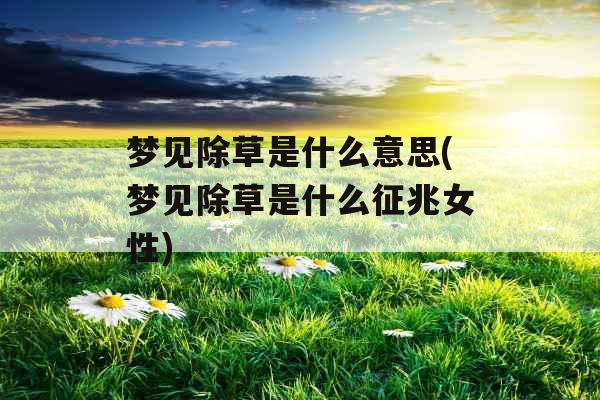 梦见除草是什么意思(梦见除草是什么征兆女性) 梦见除草是什么意思(梦见除草是什么征兆女性)
