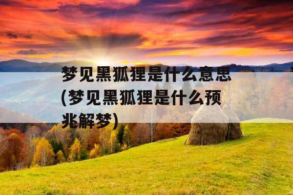 梦见黑狐狸是什么意思(梦见黑狐狸是什么预兆解梦)