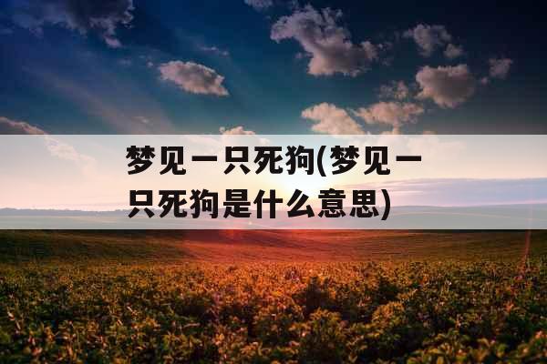 梦见一只死狗(梦见一只死狗是什么意思)