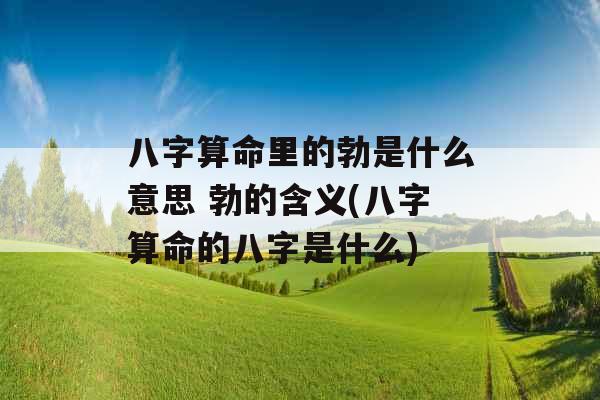 八字算命里的勃是什么意思 勃的含义(八字算命的八字是什么)