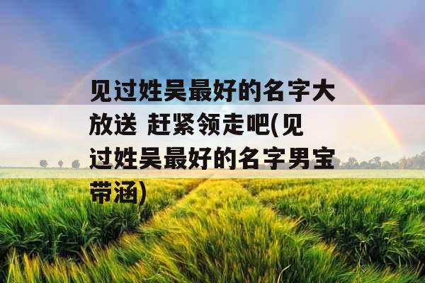 见过姓吴最好的名字大放送 赶紧领走吧(见过姓吴最好的名字男宝带涵)