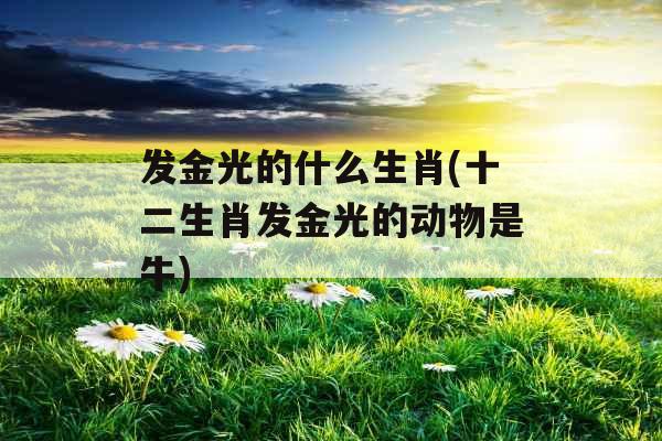 发金光的什么生肖(十二生肖发金光的动物是牛)