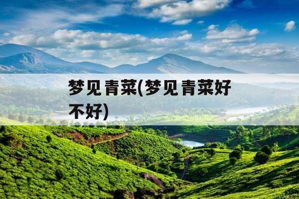 梦见青菜(梦见青菜好不好) 梦见青菜(梦见青菜好不好)