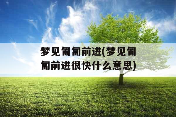 梦见匍匐前进(梦见匍匐前进很快什么意思)
