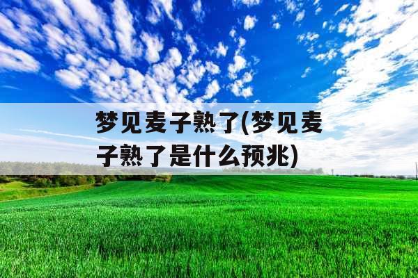 梦见麦子熟了(梦见麦子熟了是什么预兆)