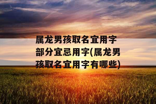 属龙男孩取名宜用字 部分宜忌用字(属龙男孩取名宜用字有哪些)